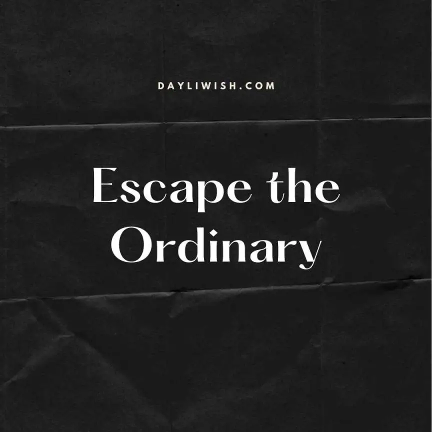 Escape the Ordinary - Best Instagram Captions