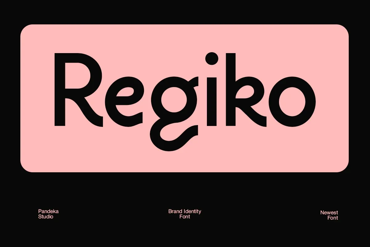 Brand Identity Font - Regiko preview