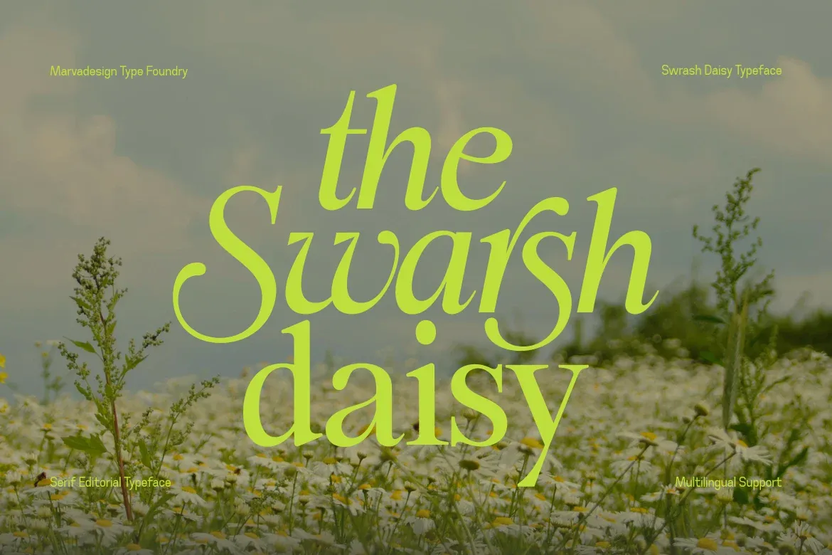 Swarsh Daisy - Elegant Serif Display preview