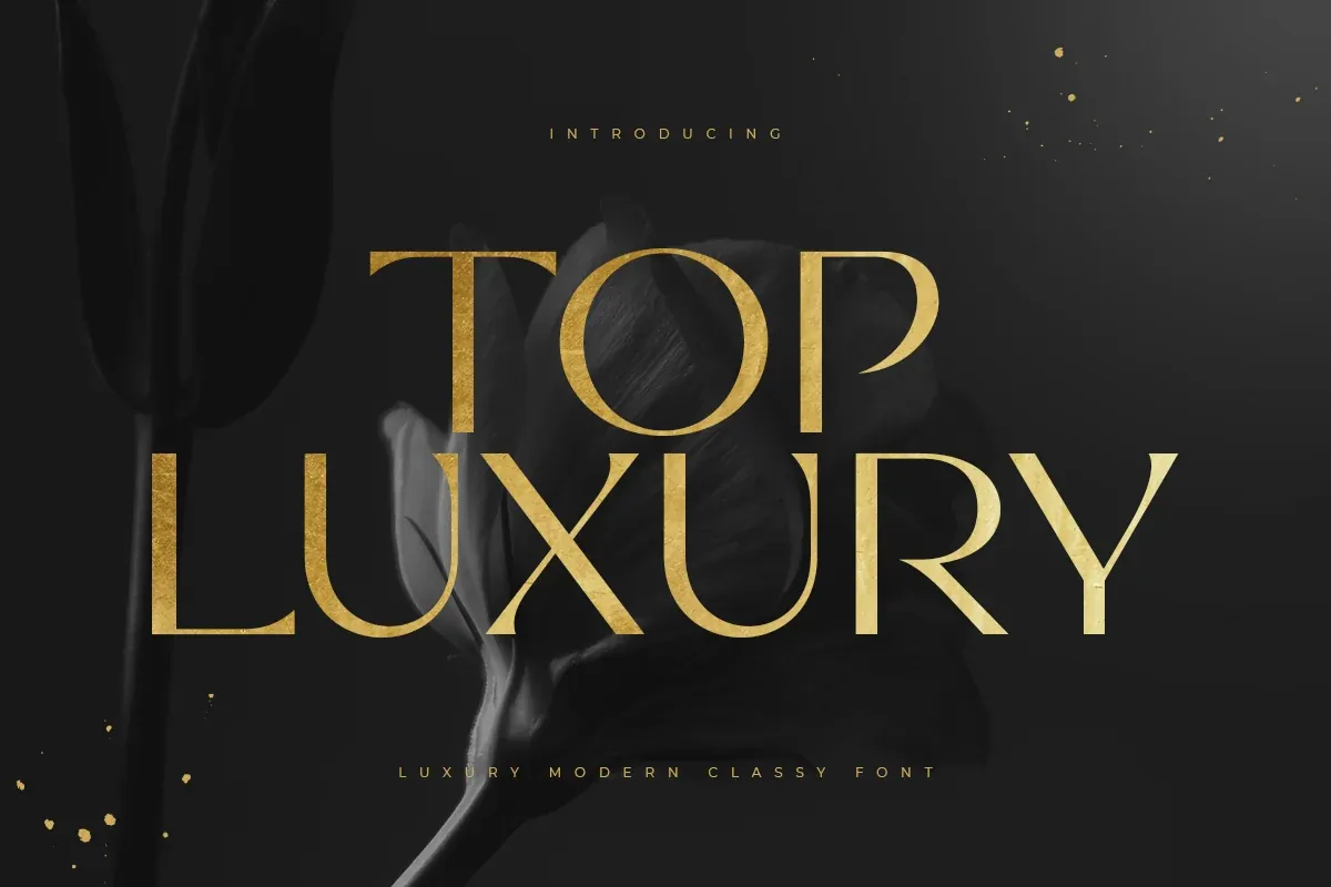 Top Luxury - Luxury Modern Classy Font preview
