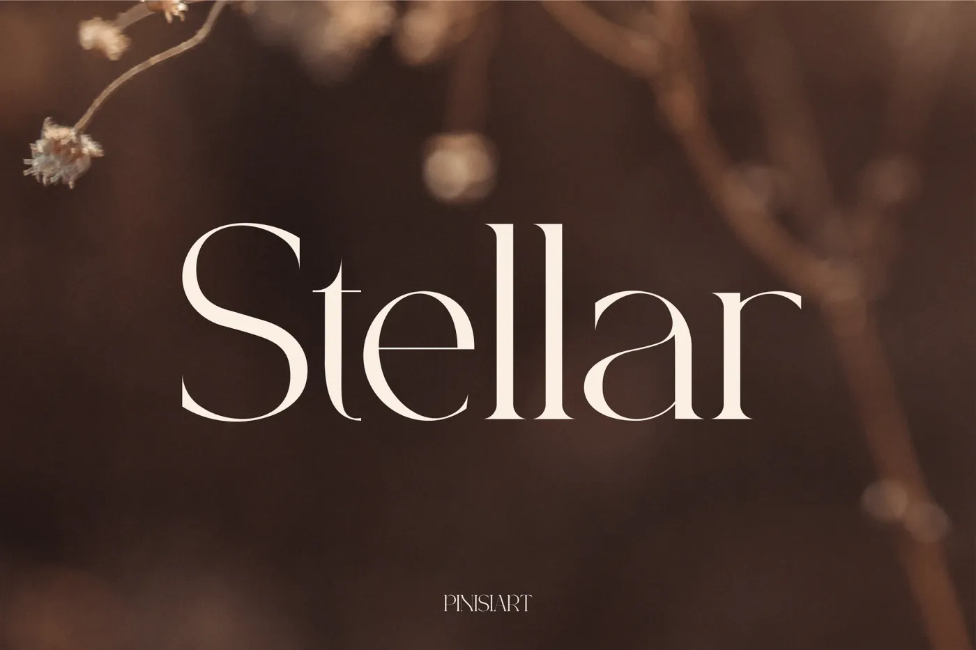 Stellar – Modern Luxury Font preview
