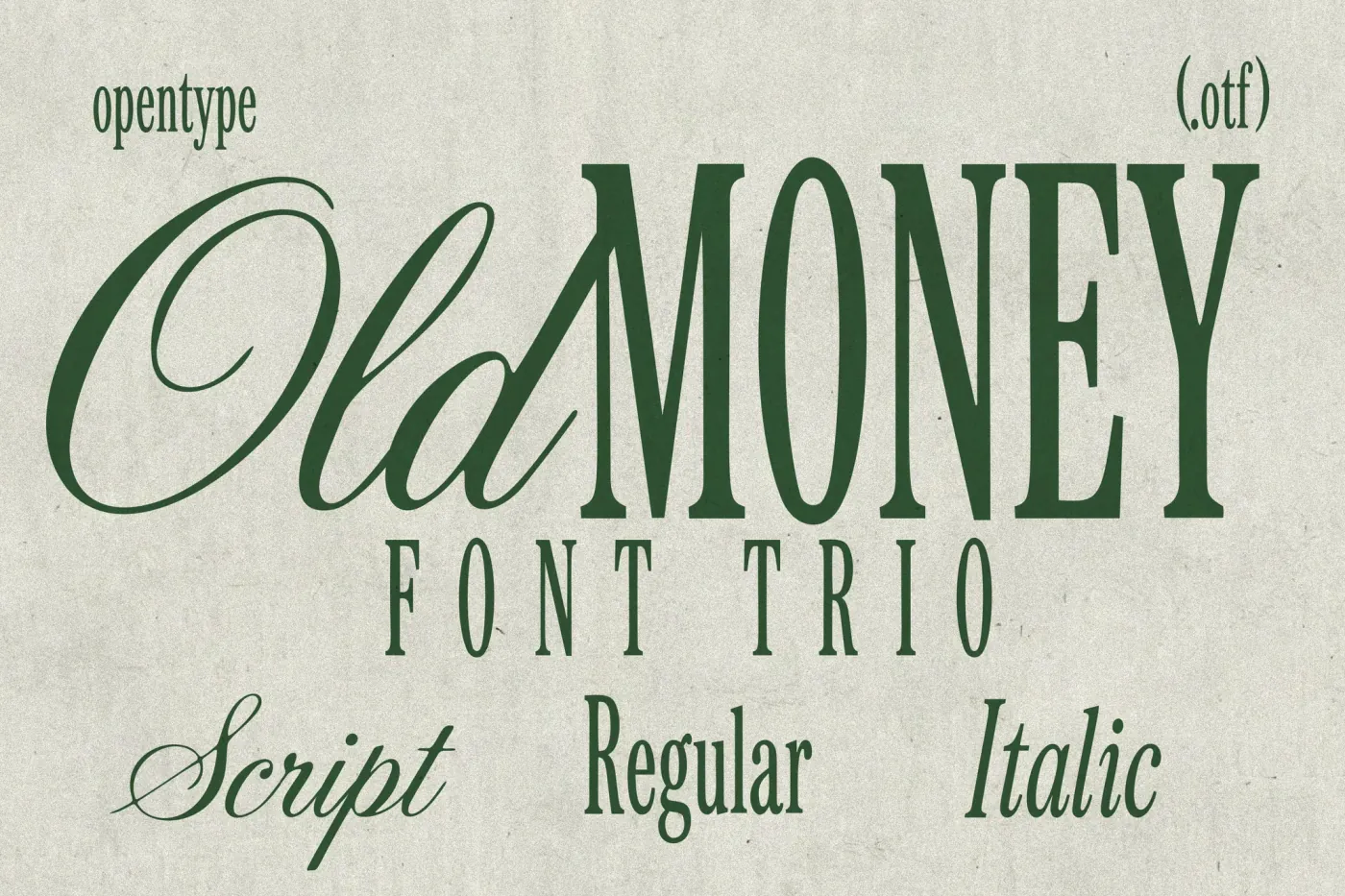 Old Money - Luxury Branding Font Trio preview