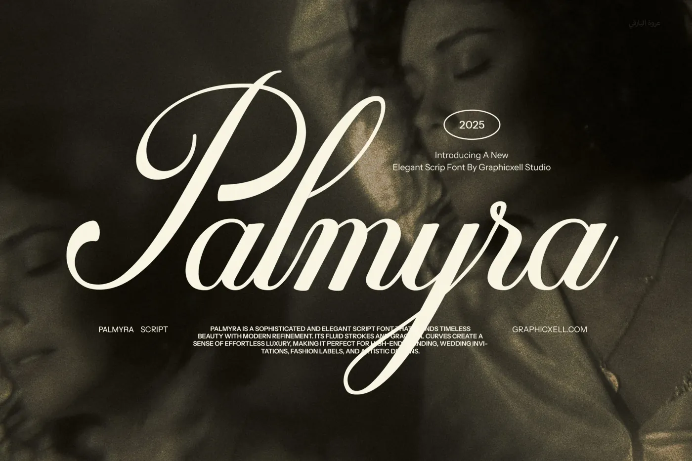 Palmyra Elegant Script Font preview