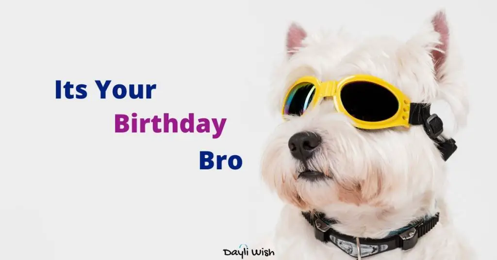 Funny Happy Birthday Wishes for Brother