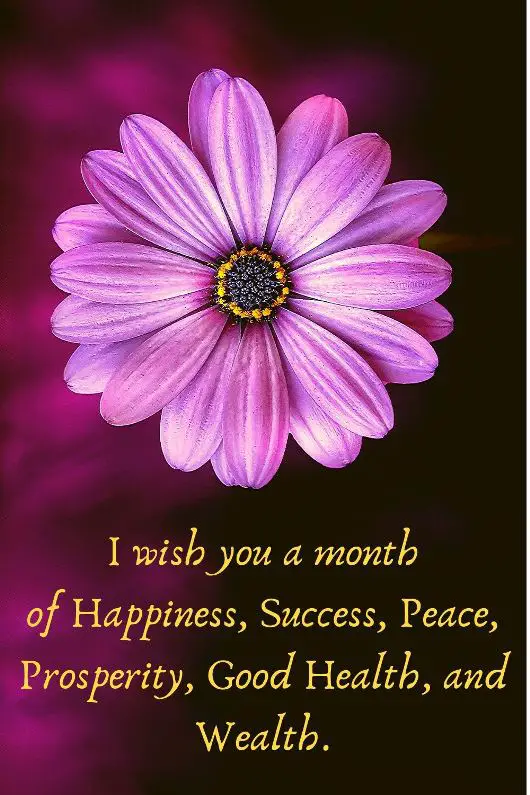 I wish you a month of Happiness, Success, Peace, Prosperity, Good Health, and Wealth.