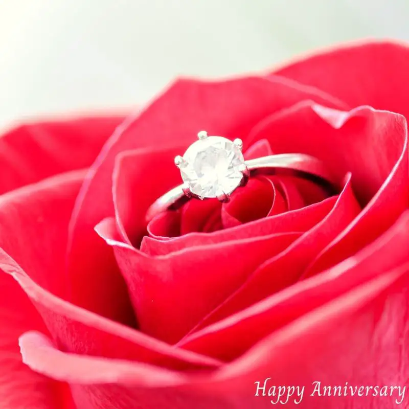 Best 100 Happy Wedding Anniversary Wishes For Friends Dayli Wish
