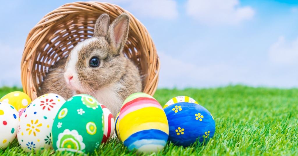 140+ Funny Easter Quotes + Images + Best Easter Jokes