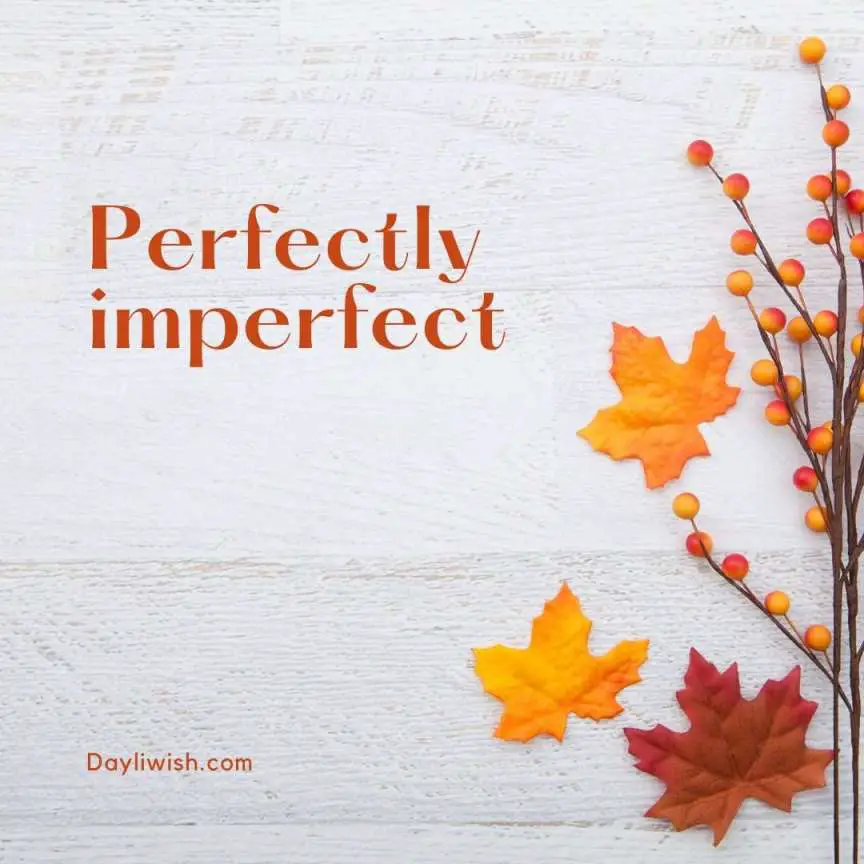 Perfectly Imperfect - Best Instagram Captions